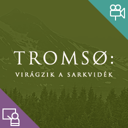 társkereső oldal für studenten iráni társkereső
