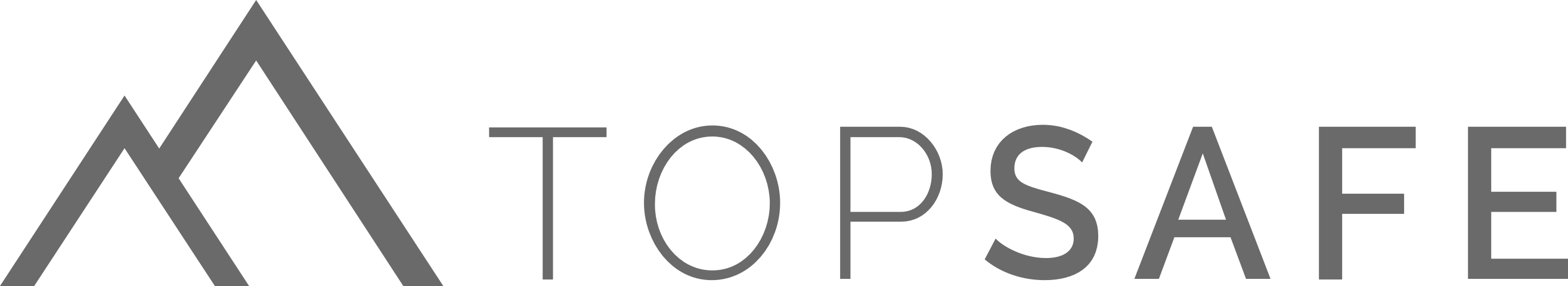 Topsafe logo